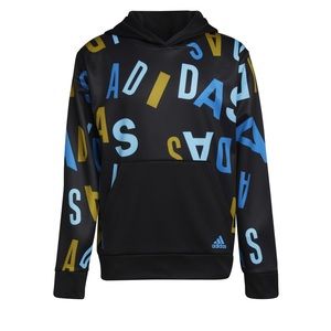 NWOT- Boys Adidas Linage Love pullover hoodie